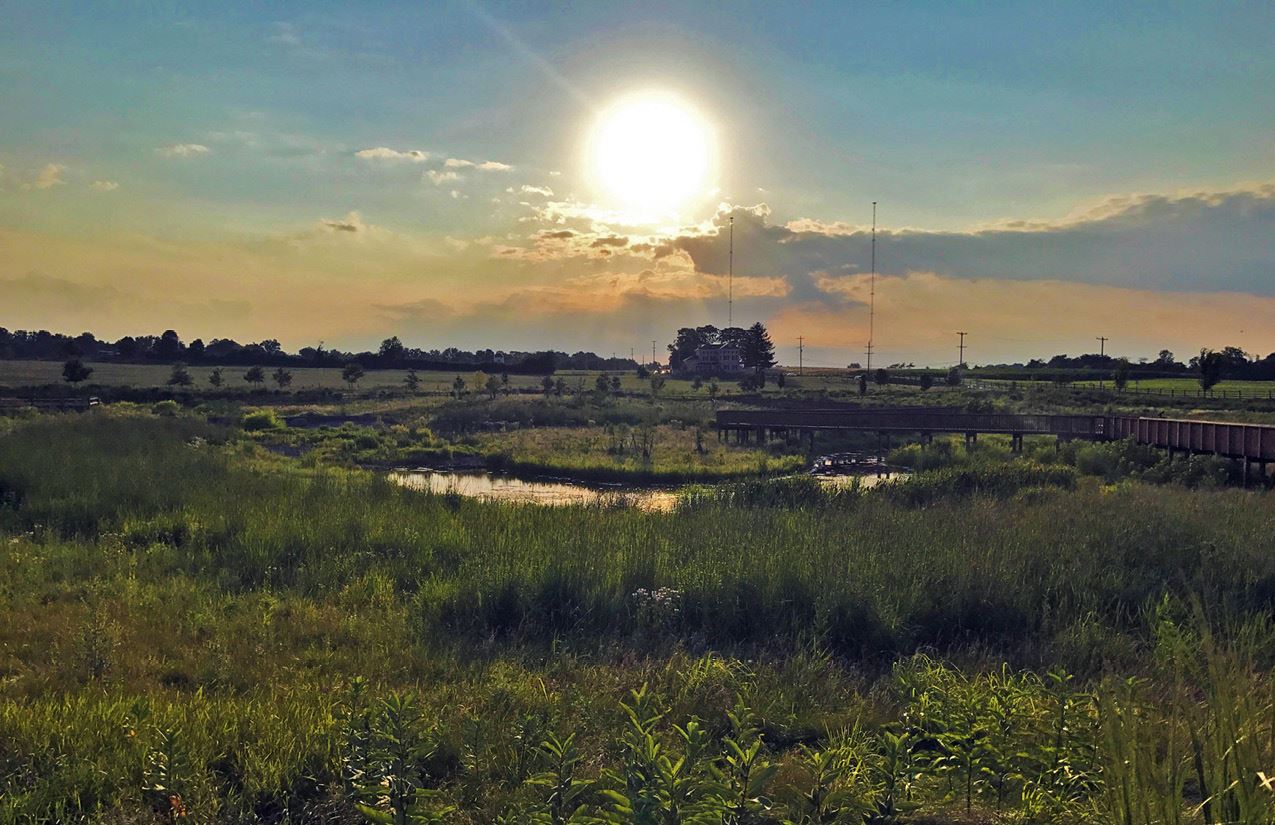 Dixon Meadow Preserve 1