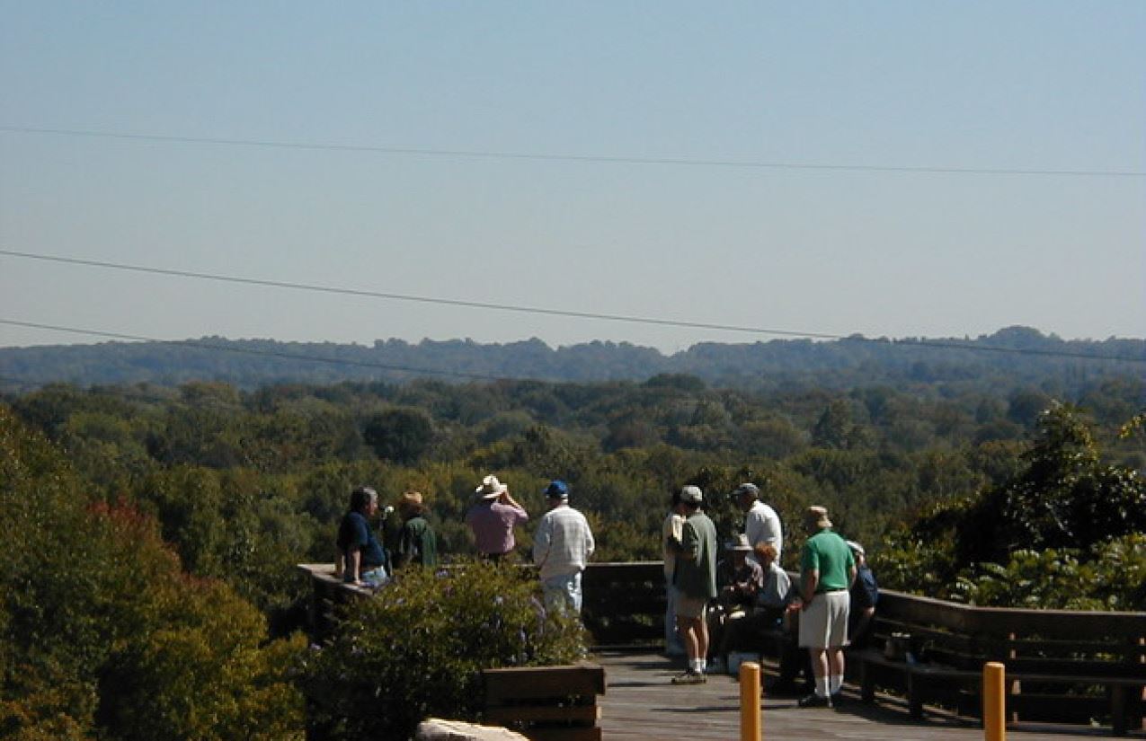 Fort Washington State Park - Hawk Watch 