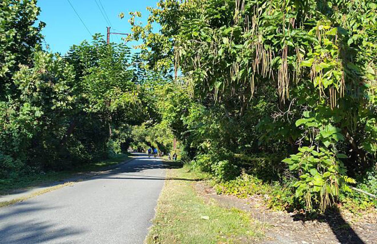 Schuylkill River Trail 1