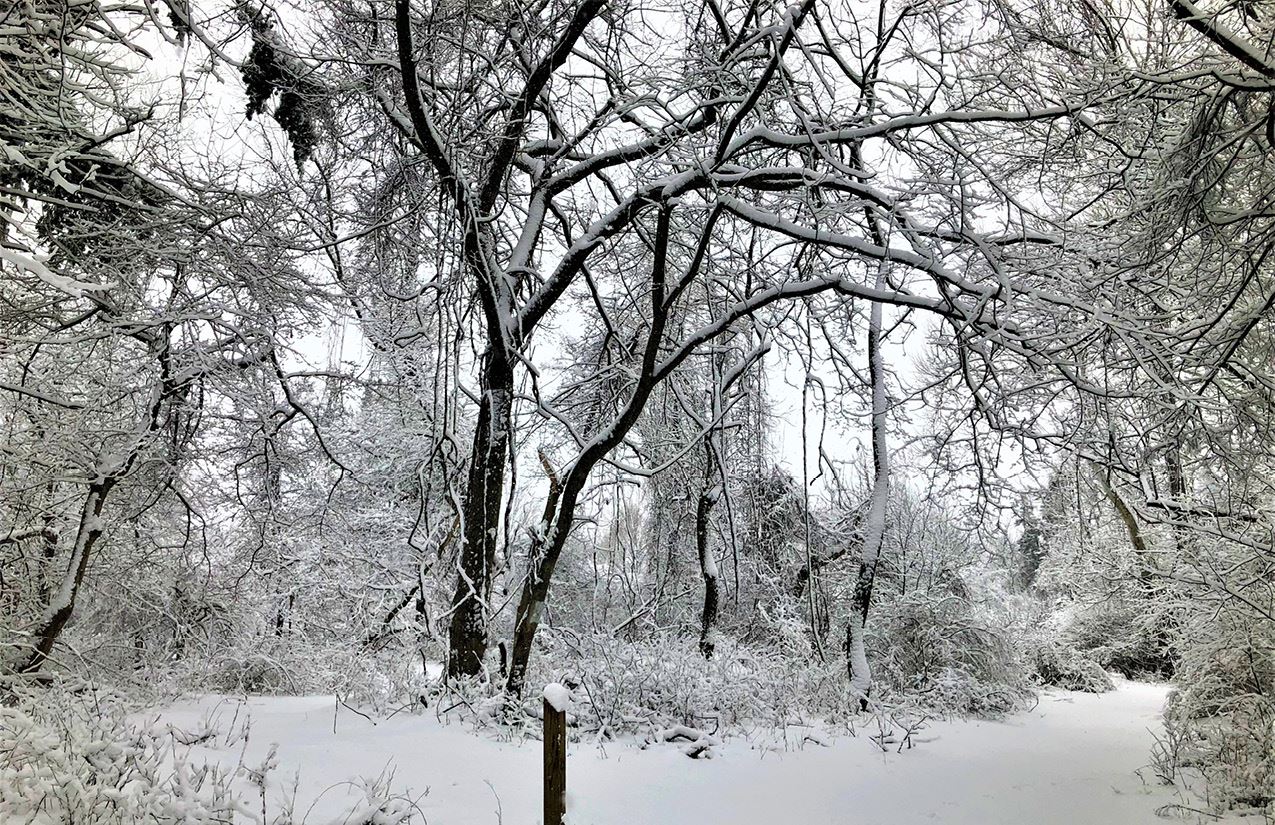 Wells Street Open Space