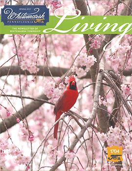 SPRING 2017 WL Cover