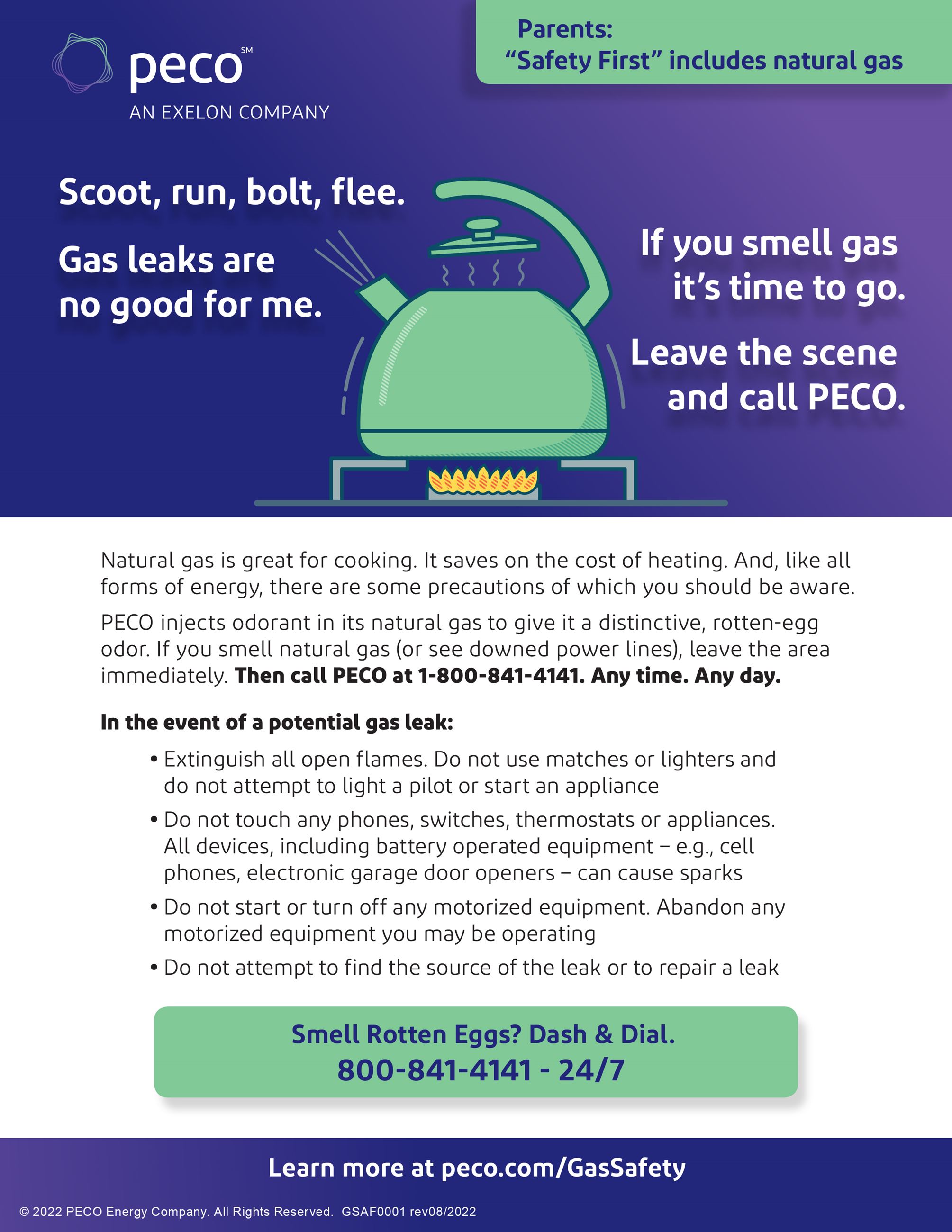 School Safety Flyer NG - PECO